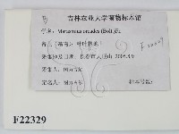 登錄號:F0022329藏品圖，第2張