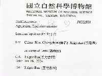 登錄號:F0022331藏品圖，第2張