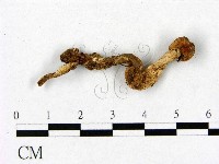 登錄號:F0022331藏品圖，第1張