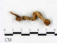 登錄號:F0022331藏品圖，第3張