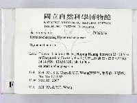 刺革菌屬藏品圖，第2張