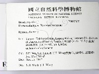 刺革菌屬藏品圖，第2張