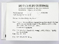 登錄號:F0022336藏品圖，第2張