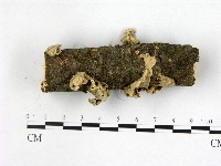 登錄號:F0022336藏品圖，第1張