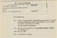 登錄號:F0022341藏品圖，第3張