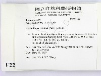 冇骨消絲齒菌藏品圖，第2張