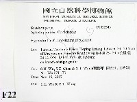 登錄號:F0022343藏品圖，第2張