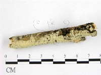 登錄號:F0022343藏品圖，第3張