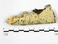 登錄號:F0022349藏品圖，第1張