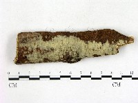 登錄號:F0022350藏品圖，第1張