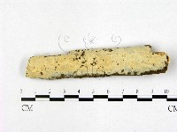 登錄號:F0022351藏品圖，第1張