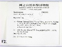 絲齒菌屬藏品圖，第2張