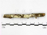 登錄號:F0022353藏品圖，第1張