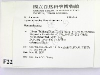 刺革菌屬藏品圖，第2張