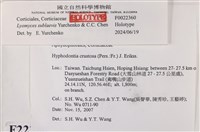 登錄號:F0022360藏品圖，第4張