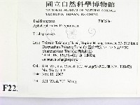 附毛菌屬藏品圖，第2張