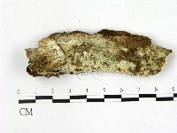 登錄號:F0022362藏品圖，第1張