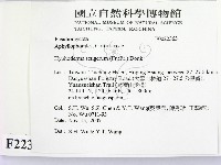 剛毛絲皮菌藏品圖，第2張