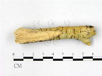 登錄號:F0022364藏品圖，第3張