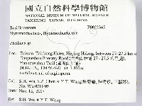 木層孔菌屬藏品圖，第2張