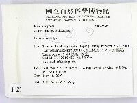 刺皮菌屬藏品圖，第2張