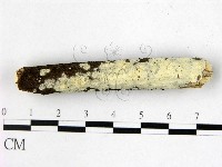 登錄號:F0022369藏品圖，第1張