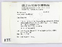 刺皮菌屬藏品圖，第2張