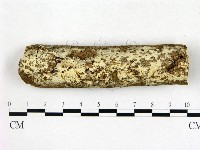 登錄號:F0022373藏品圖，第1張