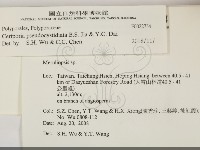 登錄號:F0022374藏品圖，第2張