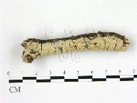 登錄號:F0022376藏品圖，第1張
