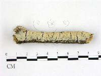 登錄號:F0022376藏品圖，第3張
