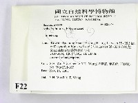 栓菌屬藏品圖，第2張