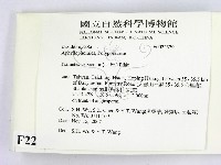 雲芝藏品圖，第2張