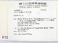 絲齒菌屬藏品圖，第2張