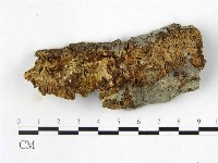 登錄號:F0022383藏品圖，第1張