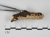 登錄號:F0022384藏品圖，第3張