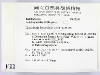 登錄號:F0022385藏品圖，第2張