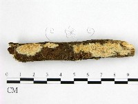 登錄號:F0022385藏品圖，第1張