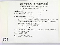 登錄號:F0022389藏品圖，第2張
