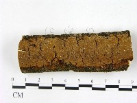 登錄號:F0022390藏品圖，第1張