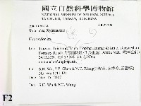 登錄號:F0022391藏品圖，第2張