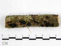 登錄號:F0022391藏品圖，第1張