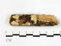 登錄號:F0022392藏品圖，第1張