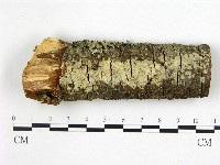 登錄號:F0022394藏品圖，第1張