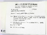 登錄號:F0022395藏品圖，第2張