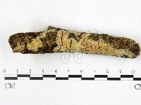 登錄號:F0022395藏品圖，第1張