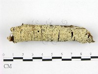 登錄號:F0022397藏品圖，第1張