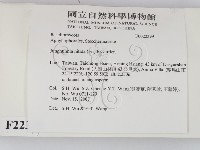 登錄號:F0022399藏品圖，第2張