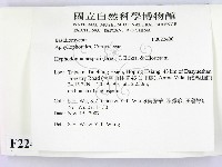 登錄號:F0022400藏品圖，第2張