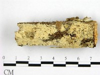 登錄號:F0022400藏品圖，第1張